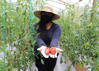 jóvenes emprendedores