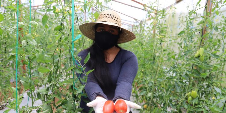 jóvenes emprendedores