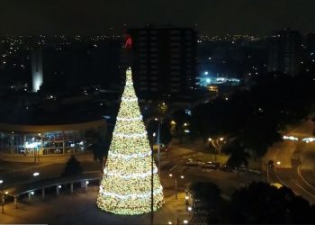 Festival Árbol Gallo marca el inicio de las fiestas de fin de año