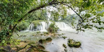 Convocan a participar en concurso Protector de la Naturaleza de la Tierra Chajil Uwachulew