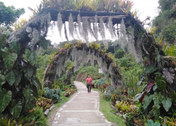 Si lo suyo es “barranquear”, el parque ecológico La Asunción es el destino ideal