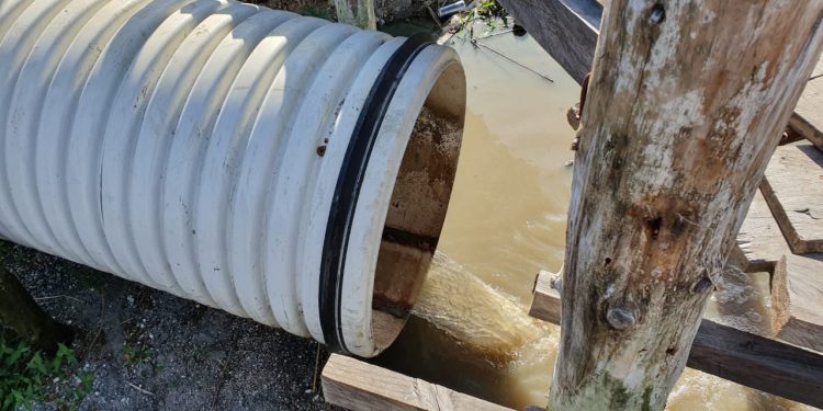 Verifican denuncia por contaminación del lago de Atitlán