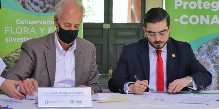 Conap forma alianza interinstitucional para resguardar especies de fauna silvestre