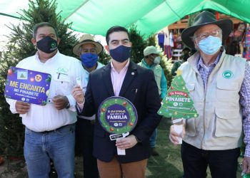 Inauguran ferias del pinabete en Guatemala