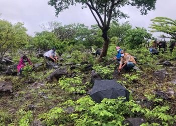 MARN presenta logros alcanzados este año a favor del medio ambiente