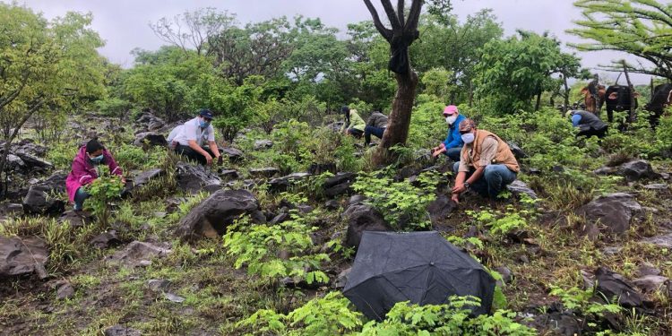 MARN presenta logros alcanzados este año a favor del medio ambiente