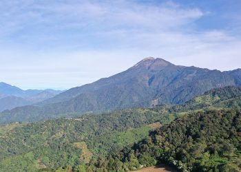 Día Internacional de las Montañas motiva a celebrar la alta biodiversidad en estas áreas