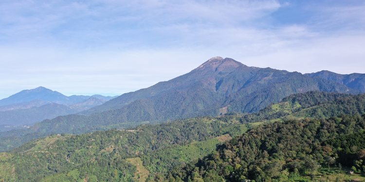 Día Internacional de las Montañas motiva a celebrar la alta biodiversidad en estas áreas