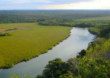Refuerzan acciones para enfrentar actividades del narcotráfico en el parque nacional Laguna del Tigre