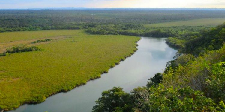Refuerzan acciones para enfrentar actividades del narcotráfico en el parque nacional Laguna del Tigre