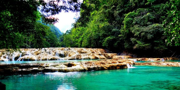 Semuc Champey abre sus puertas al público nuevamente