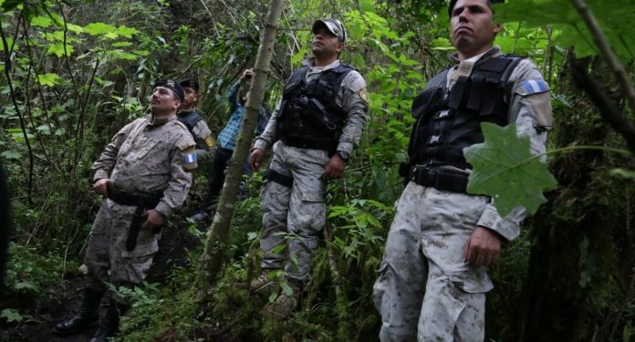 Delegaciones de Diprona mantienen operativos a nivel nacional