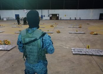 Asestan nuevo golpe al narcotráfico y decomisan 750 paquetes de cocaína