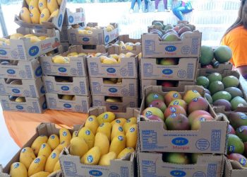 exportacion-productos-agricolas