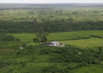 Ejército detecta aeronave que sobrevolaba sin autorización en Petén