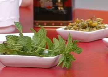 Cómo aliviar la indigestión con remedios naturales