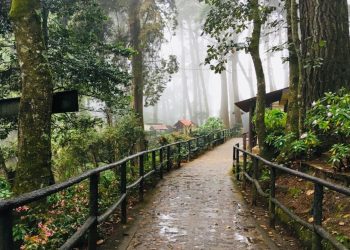 Aléjate del bullicio de la ciudad en Senderos de Alux