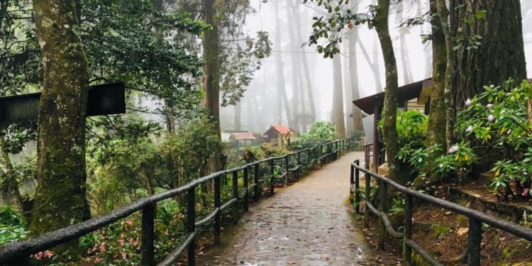 Aléjate del bullicio de la ciudad en Senderos de Alux