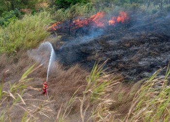 Comienza la temporada de incendios forestales 2020-2021