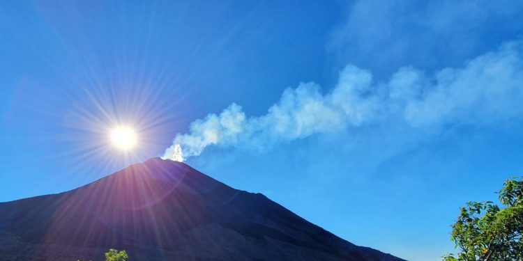 Monitorean actividad de los volcanes de Pacaya, Fuego y Santiaguito