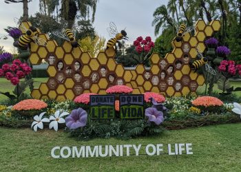 Sin carrozas, pero el Desfile de las Rosas se llevará a cabo