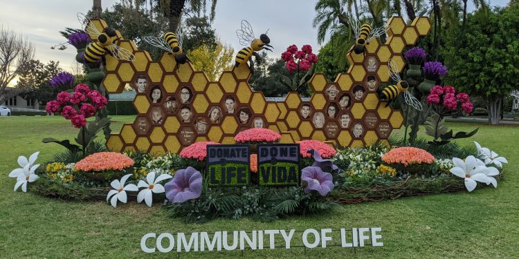 Sin carrozas, pero el Desfile de las Rosas se llevará a cabo