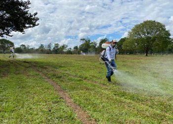 MAGA realiza fumigación para erradicar la langosta voladora en en departamento de Petén./MAGA.