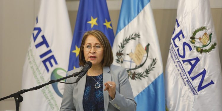 Sesan define estrategia que se implementará en 2021 para fortalecer Cruzada por la Nutrición