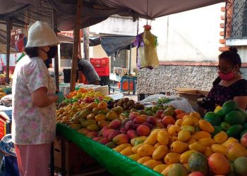 Establecen lineamientos para elaboración de protocolo de ingreso a mercados