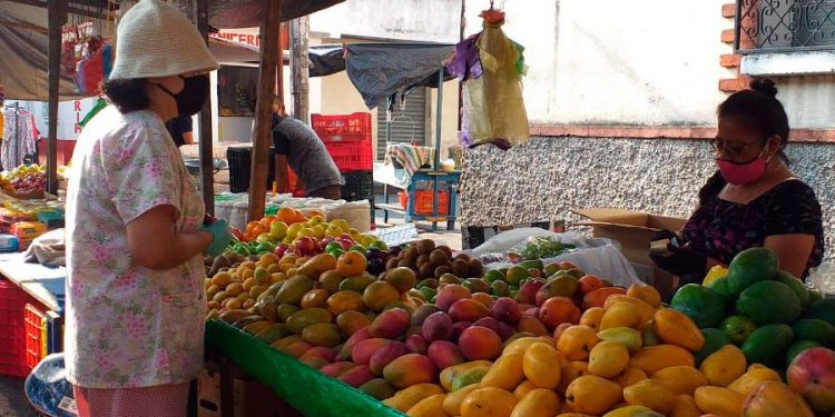 Establecen lineamientos para elaboración de protocolo de ingreso a mercados