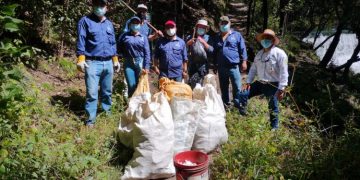 Recolección de basura