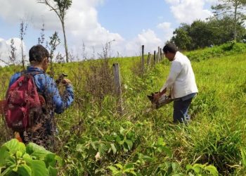 Recuperan 90 hectáreas de la Reserva de la Biósfera Maya