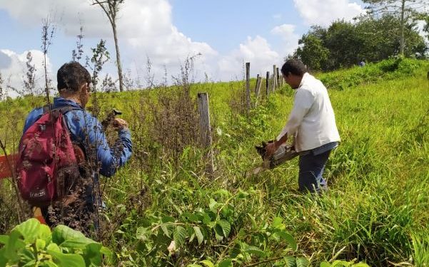 Recuperan 90 hectáreas de la Reserva de la Biósfera Maya