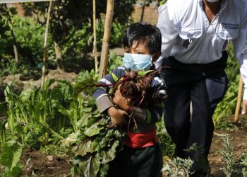 Obtienen primera cosecha de huerto comunitario en San Juan Sacatepéquez