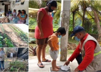 Qué acciones se ejecutaron en 2020 para reducir la vulnerabilidad alimentaria