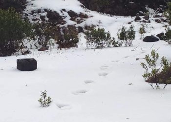 Sorpresiva caída de granizo pinta de blanco poblados de San Marcos