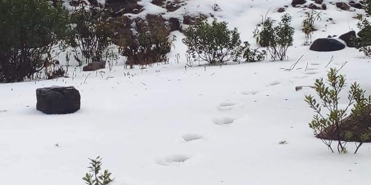 Sorpresiva caída de granizo pinta de blanco poblados de San Marcos