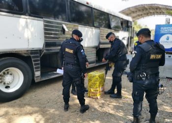 PNC sorprende a un adolescente que trasladaba 20 libras de marihuana