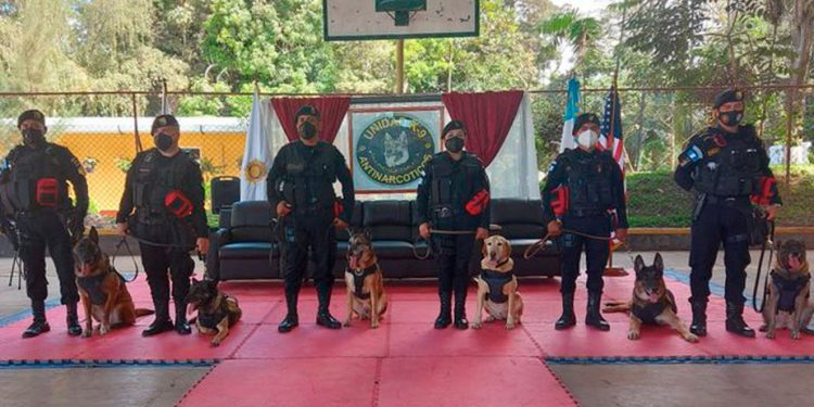 Agentes antinarcóticos rinden homenaje a elementos K-9 que pasan a situación de retiro