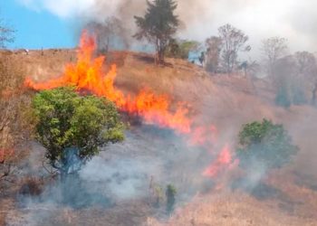 Conred atiende 39 incendios forestales