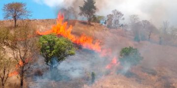 Conred atiende 39 incendios forestales