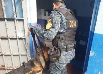 operativos con agentes K-9