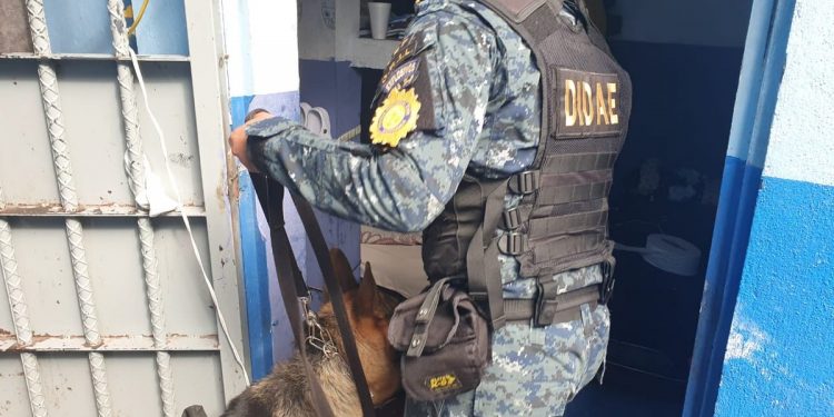 operativos con agentes K-9