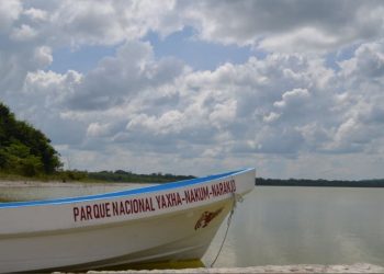 Primer Informe de Gobierno: En 2020 se brindó protección al medio ambiente