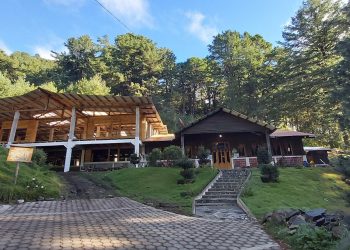 Conozca los árboles de 300 años de antigüedad del parque ecológico Chajil Siwan