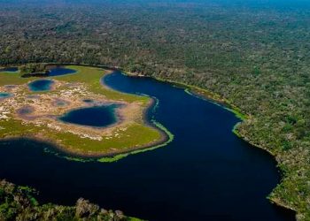 Reserva de la biósfera maya
