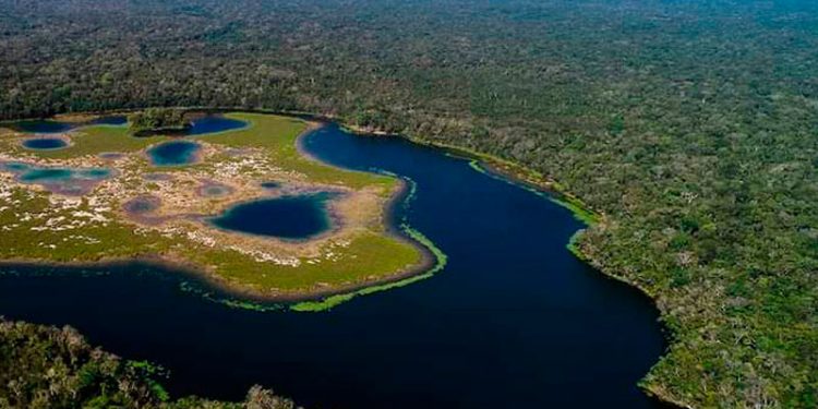 Reserva de la biósfera maya