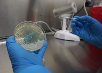Alerta epidemiológica por hallazgo de Candida Auris en Guatemala./Foto: MSPAS.