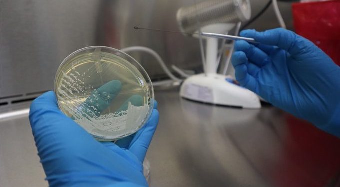 Alerta epidemiológica por hallazgo de Candida Auris en Guatemala./Foto: MSPAS.