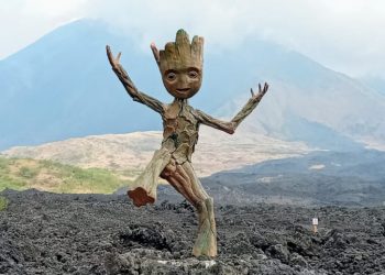 Groot la imagen de Finca el Amate